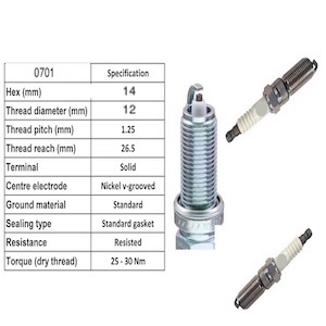 Spark Plugs